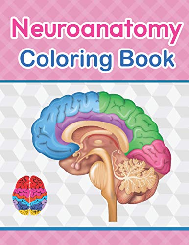 Neuroanatomy Coloring Book: The Ultimate Human Brain self test guide ...