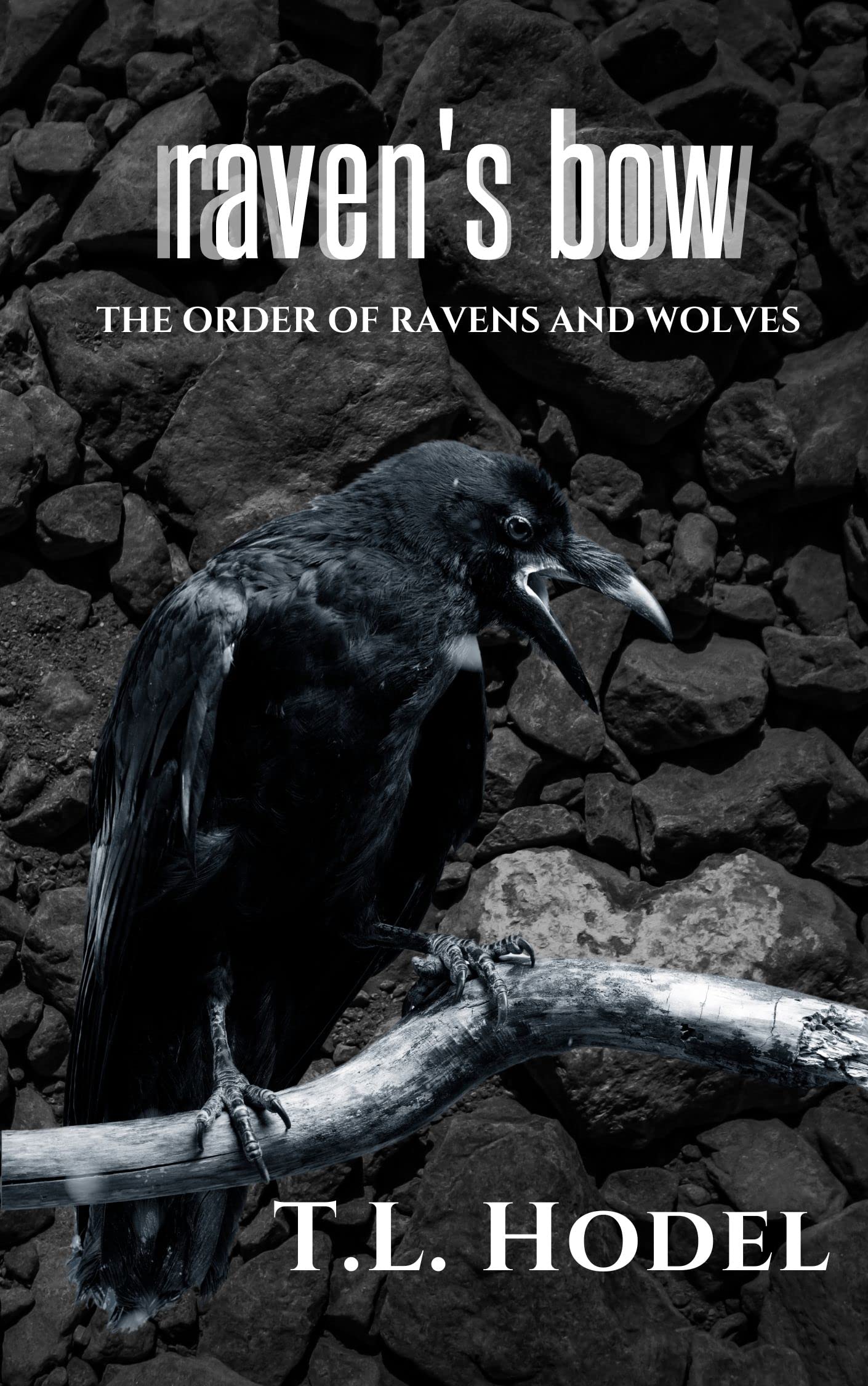 Raven's Bow book cover