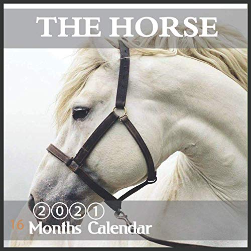 The Horse 2021 calendar: 2021 Wall & Office Calendar for Horse Lovers