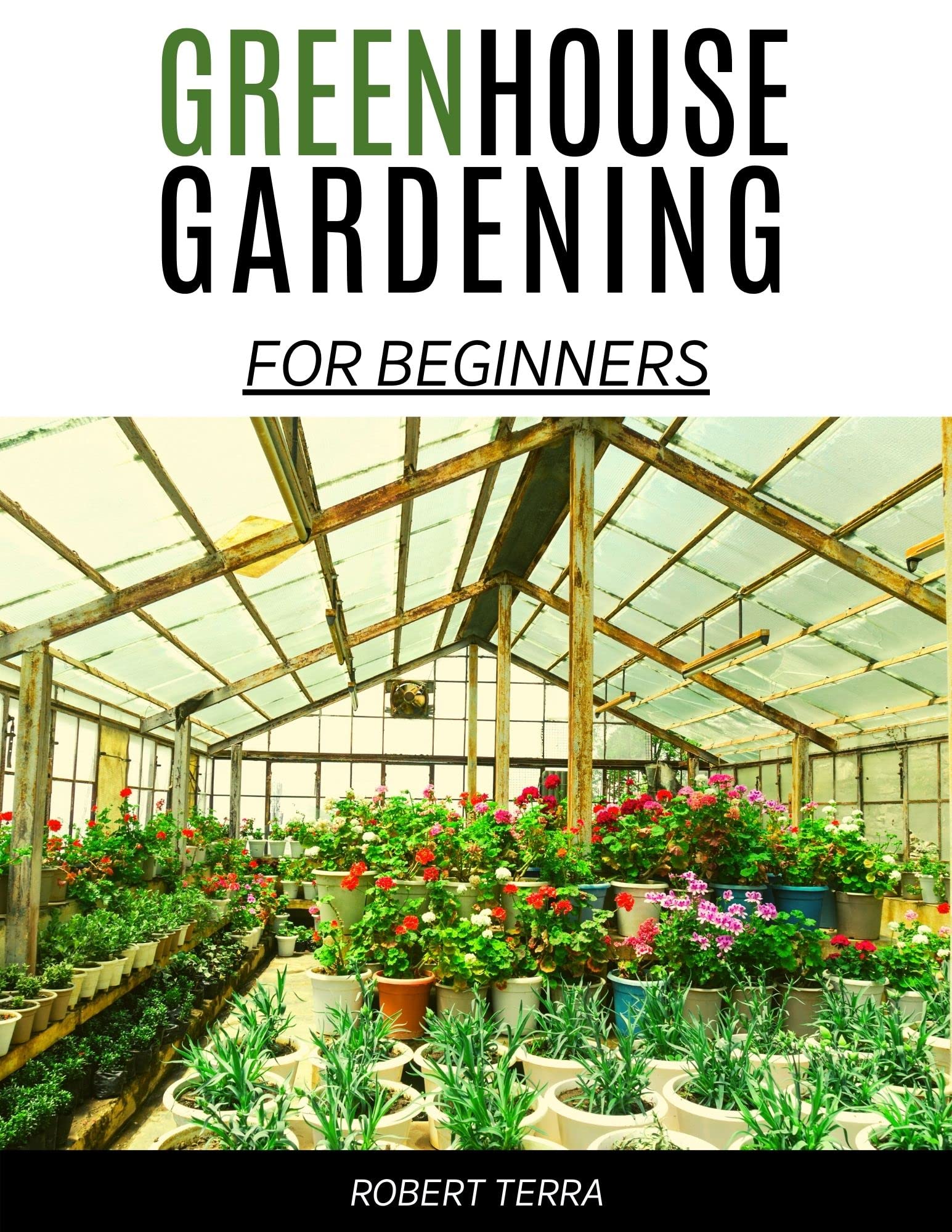 Greenhouse Gardening for Beginners Get Ready to Transform Your Space