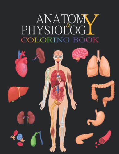 Humanor not? visual data 3