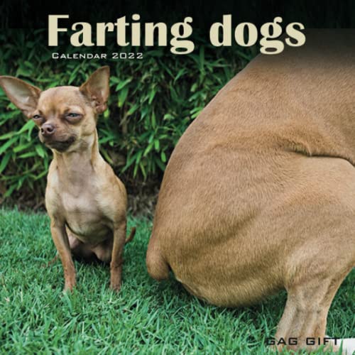 GAG GIFT fartings Dogs Funny Calendar 2022 Best/Hilarious Gag Present