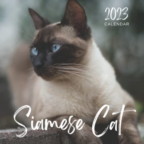 Siamese Cat Calendar Beautiful 2023 Calendar Gift for Family, Friends