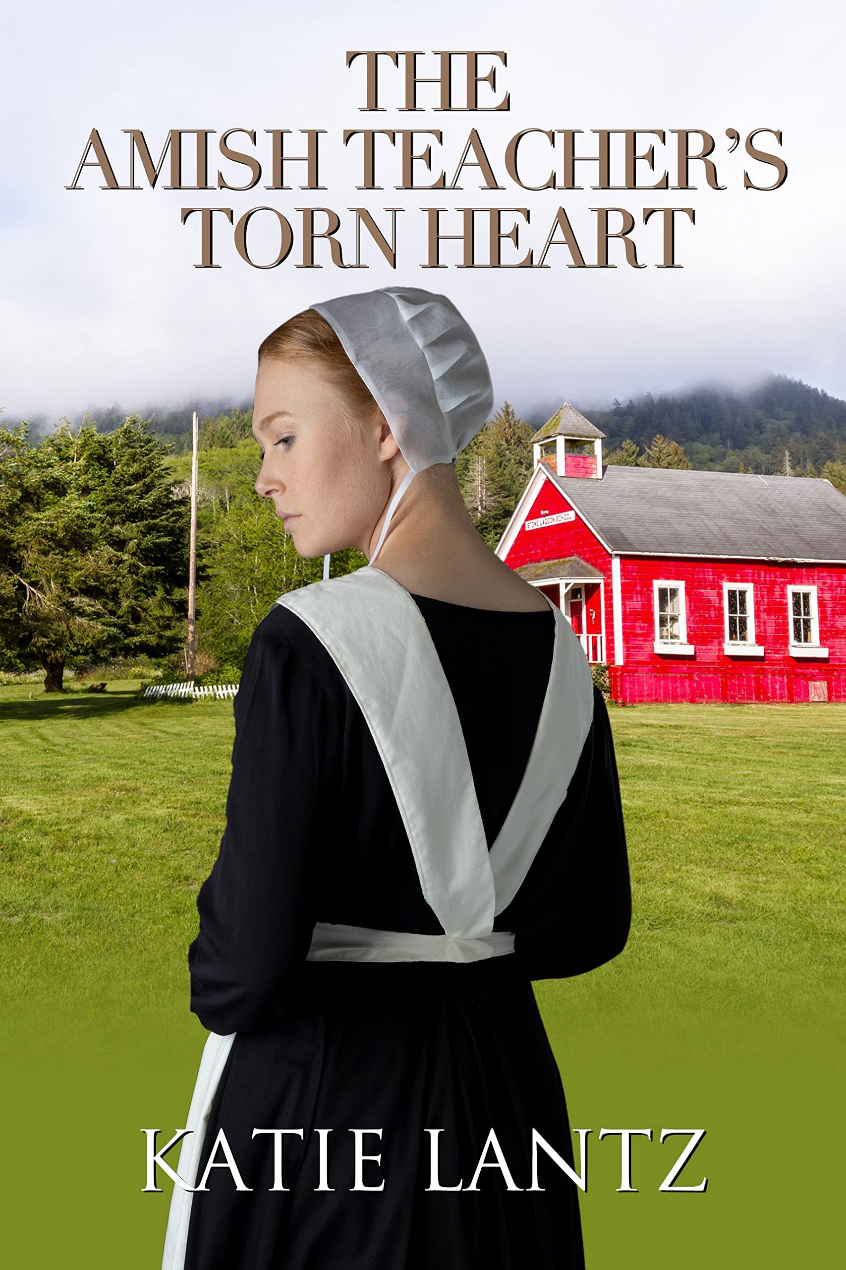 The Amish Teacher's Torn Heart
