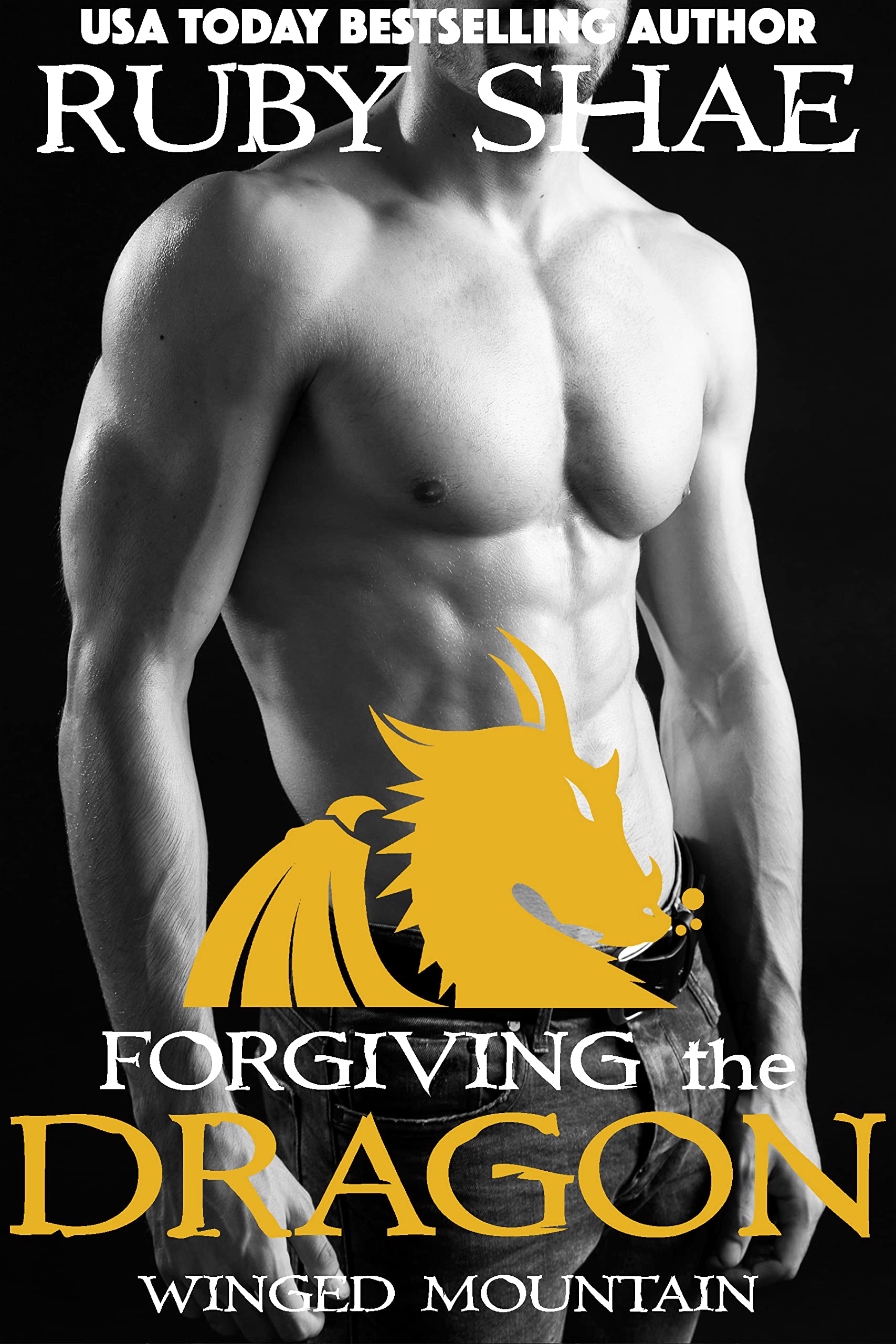 Winged Mountain book cover 3