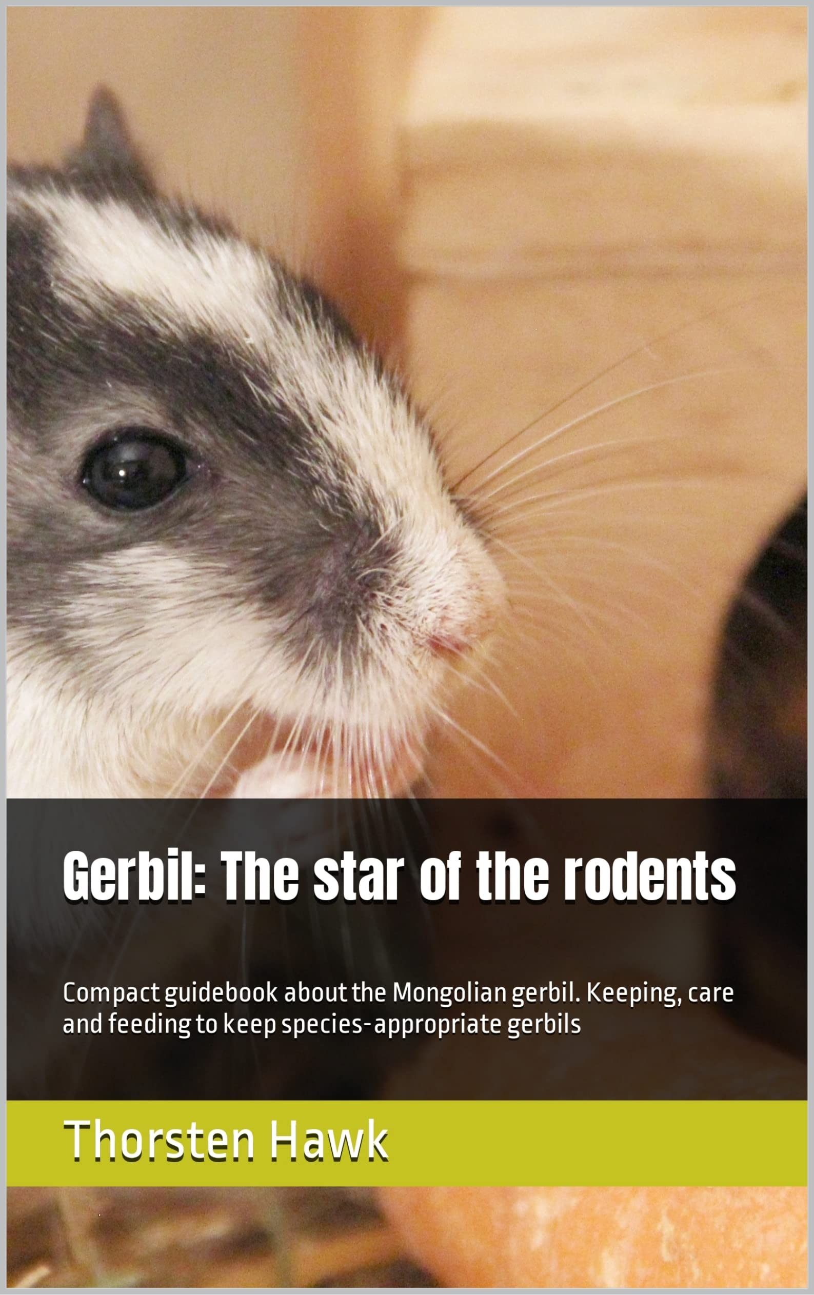 Gerbil The star of the rodents Compact guidebook about the Mongolian
