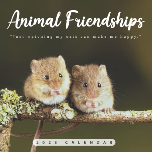 Animal Friendships Calendar Beautiful 2023 Calendar Gift for Family