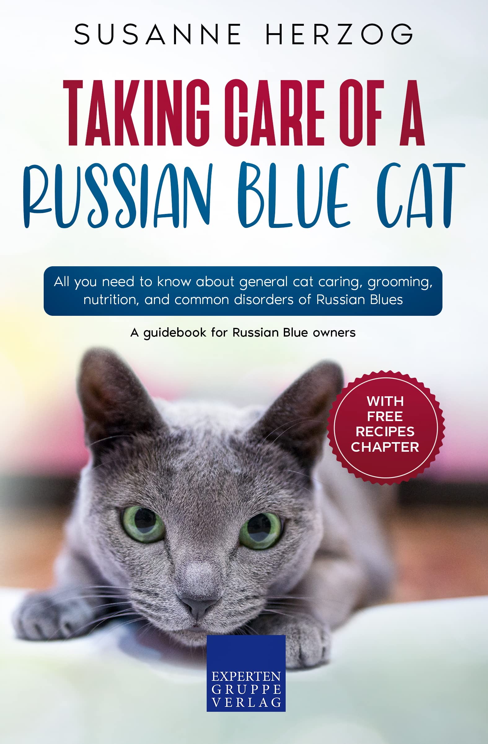 Taking care of a Russian Blue Cat All you need to know about general