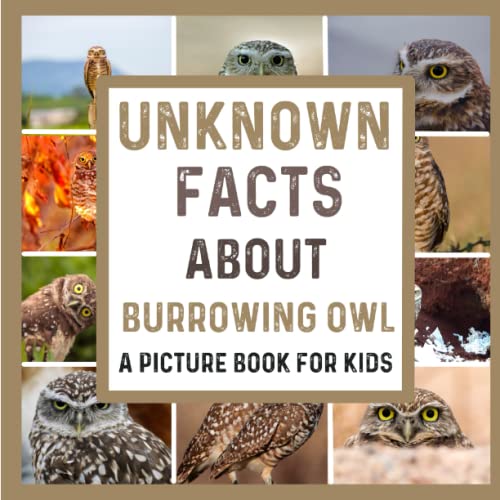 Unknown Facts About the Burrowing Owl (A Colorful Picture Book For Kids