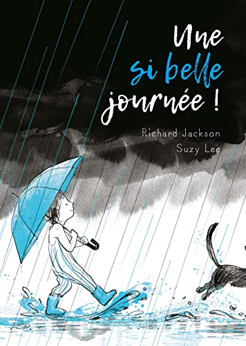 Une si belle journée book cover