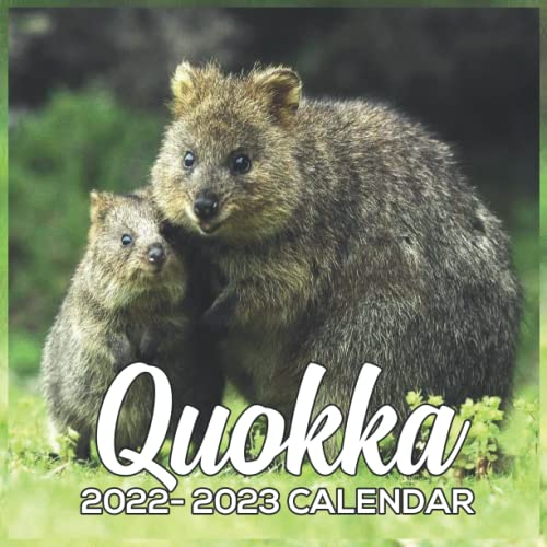 Quokka Calendar 2022 animal wildlife calendar Quokka Calendar 2022