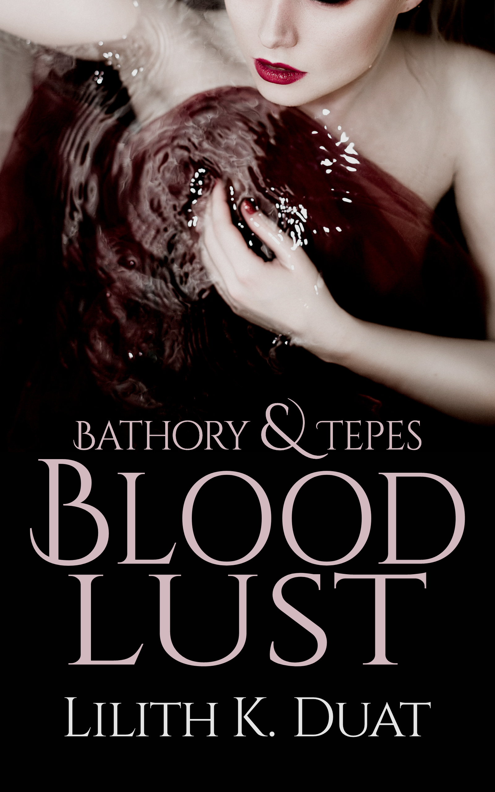 Bathory & Tepes book cover