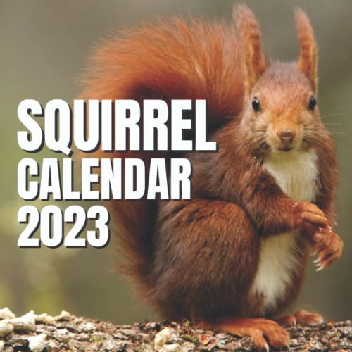 squirrel-calendar-2023-12-monthly-grid-space-for-plans-and-schedules