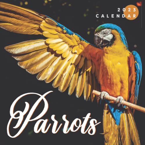 parrots-calendar-beautiful-18-month-2023-calendar-gift-for-family