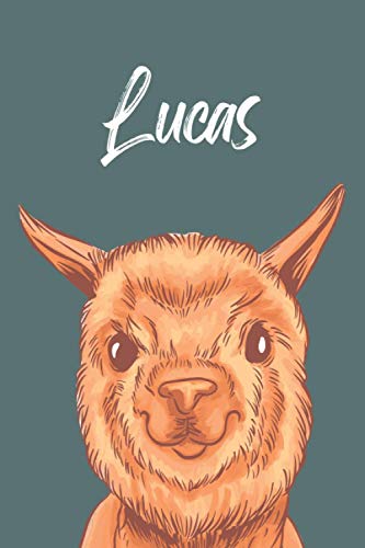 Lucas Personalisiertes Notizbuch / Vorname Lucas / liniert / 120