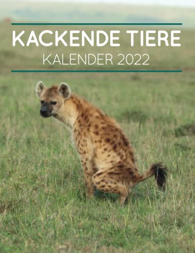 Kackende Tiere: Kalender 2022 (German Edition) by Elias Müller | Goodreads