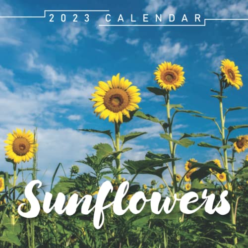 sunflowers-calendar-2023-a-beautiful-photo-calendar-from-july-2022-to