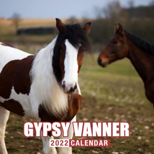 Gypsy Vanner Horse 2022 Calendar Animals Calendar 2022, January 2022