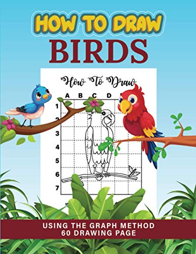 How to Draw birds: using graph method | Easy-to-follow, step-by-step ...