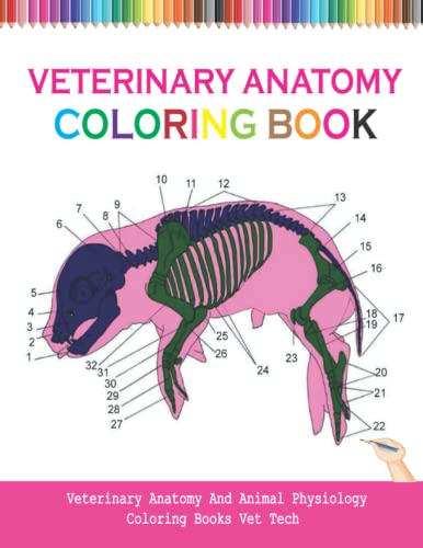 Veterinary Anatomy Coloring Book: Animal Anatomy And Physiology Coloring Books Vet Tech, Guinea ...