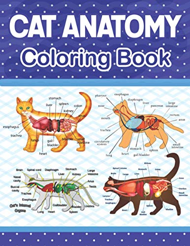 Cat Anatomy Coloring Book: Cat Anatomy Coloring Workbook for Kids, Boys ...