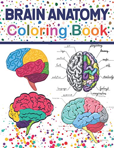 Brain Anatomy Coloring Book: Fun and Easy Human Brain Anatomy Coloring ...