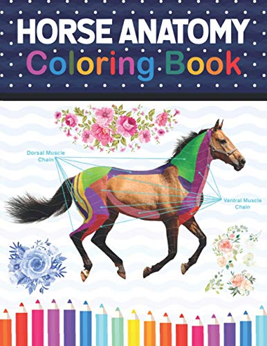 Horse Anatomy Coloring Book: Animals Physiology Self-Quiz Color