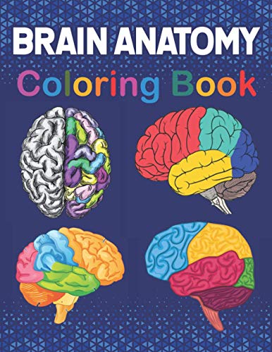 Brain Anatomy Coloring Book: Learn The Human Brain Anatomy With Fun ...