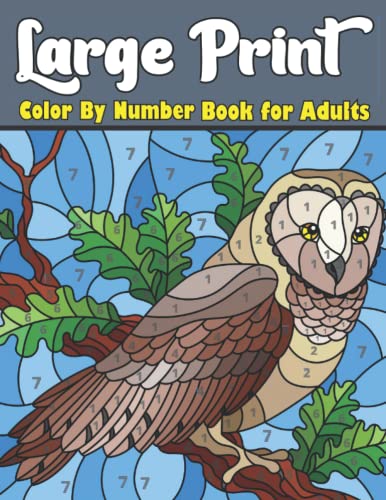 Large Print Color By Number Book For Adults: An Adult Coloring Book ...