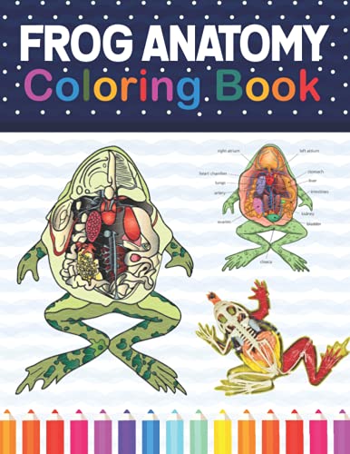 Frog Anatomy Coloring Book: Introduction to Frog Anatomy Workbook. Kids Relax Design for Anatomy ...