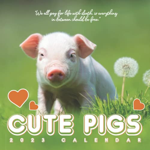 Cute Pigs Calendar Beautiful 18month 2023 Calendar Gift for Family