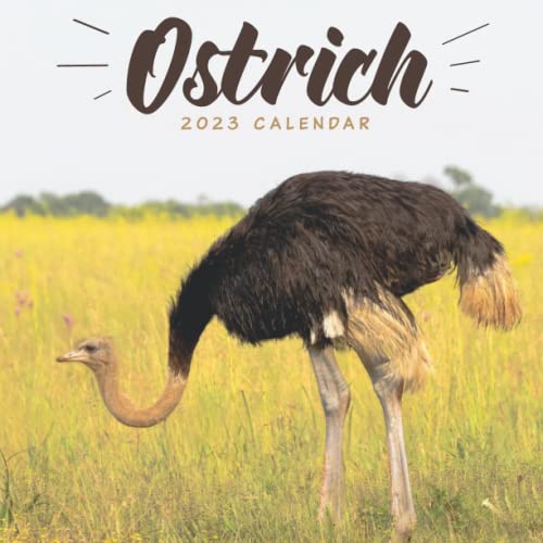 Ostrich Calendar: 18-month 2023 Calendar - Large monthly grid for note Ostrich Calendar: 18-month 2023 Calendar - Large monthly grid for note