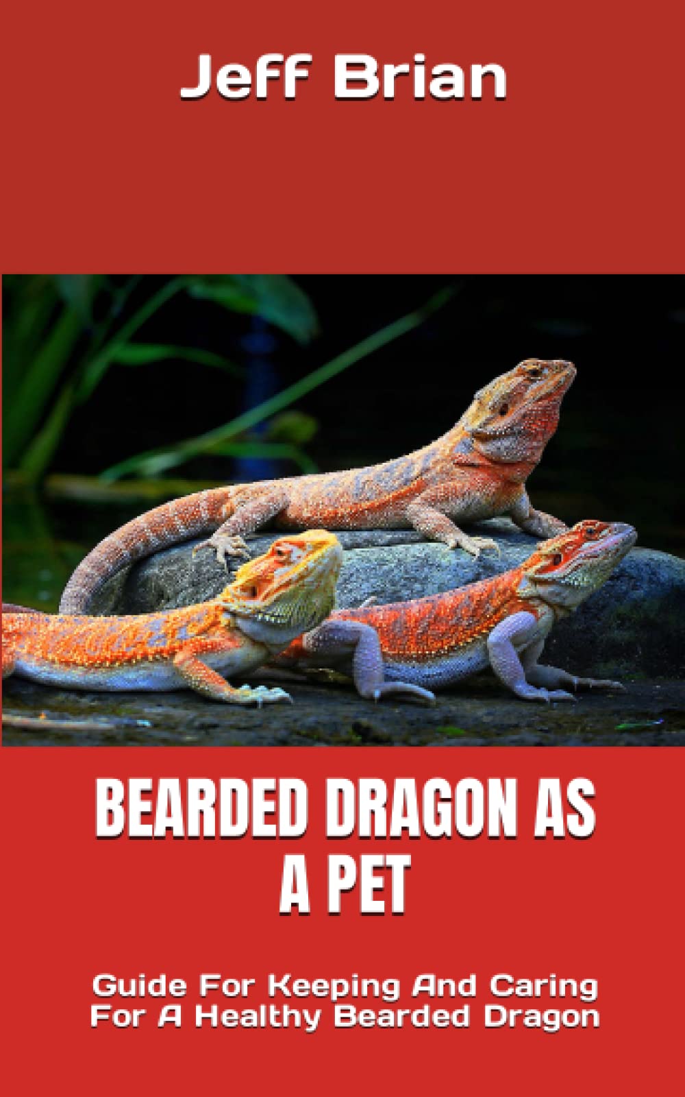 BEARDED DRAGON AS A PET Guide For Keeping And Caring For A Healthy