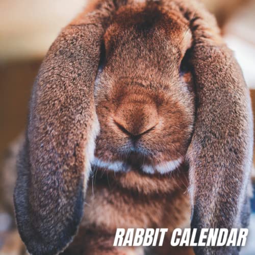 RABBIT CALENDAR 2022 Rabbit Calendar And Planner A Monthly and