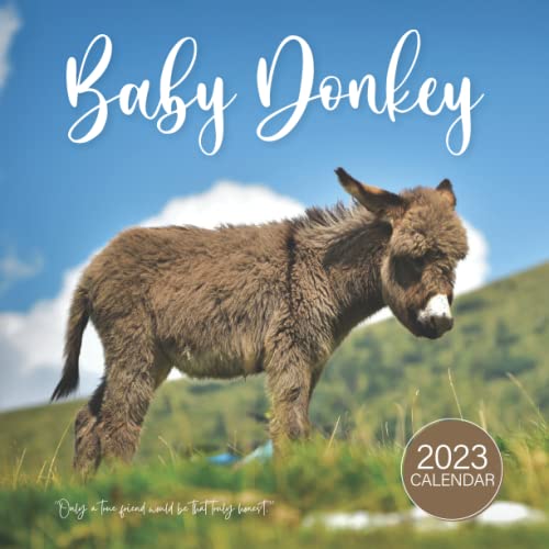 Baby Donkey Calendar: Beautiful 18 month 2023 Calendar Gift for