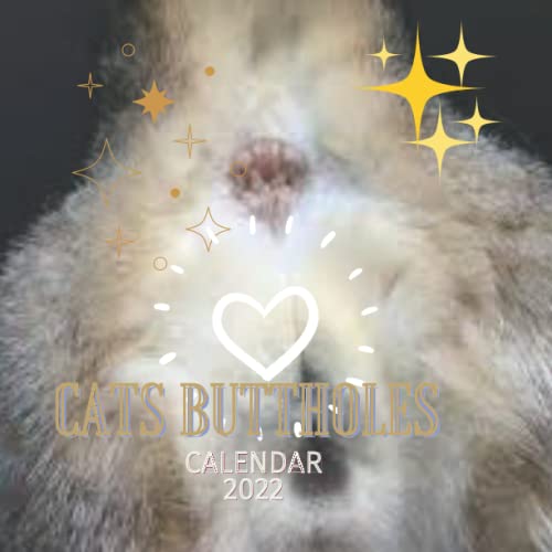Cats Buttholes Calendar 2022 Cat balls calendar.Perfect Gift Ideas for