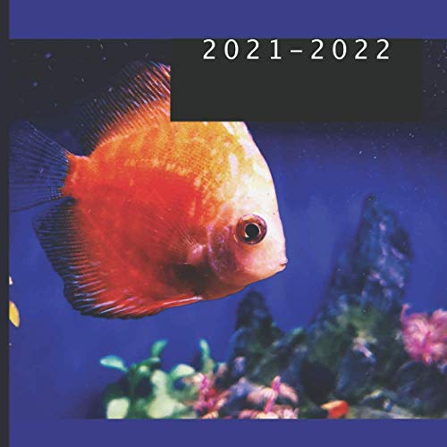 2021-2022-18-month-calendar-monthly-photo-calendar-july-2021