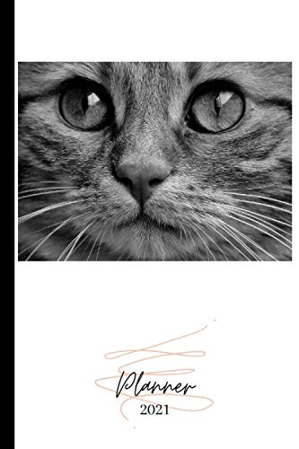 2021-planner-cat-150-pages-weekly-annual-and-monthly-calendar