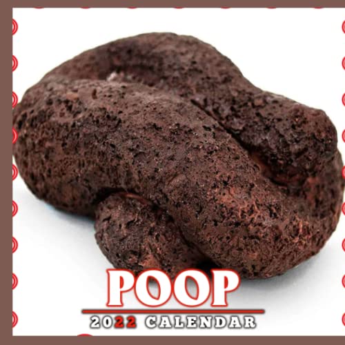 GAG GIFT Poop Photo Calendar 2022 Christmas Gag Gifts 2022 Calendar A Great Gift To
