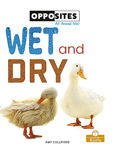 Wet and Dry (Opposites All Around Me!) by Amy Culliford | Goodreads