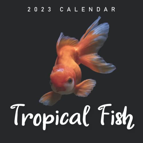 tropical-fish-calendar-2023-cool-gift-for-you-your-family-and-friends