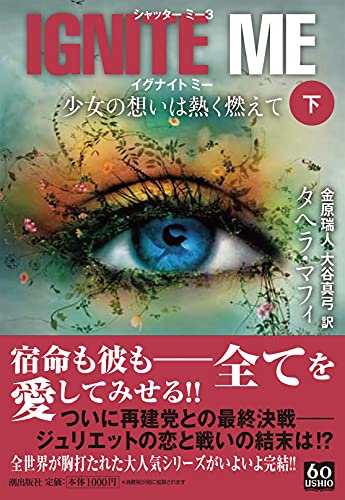 イグナイト・ミー 少女の想いは熱く燃えて 下 book cover