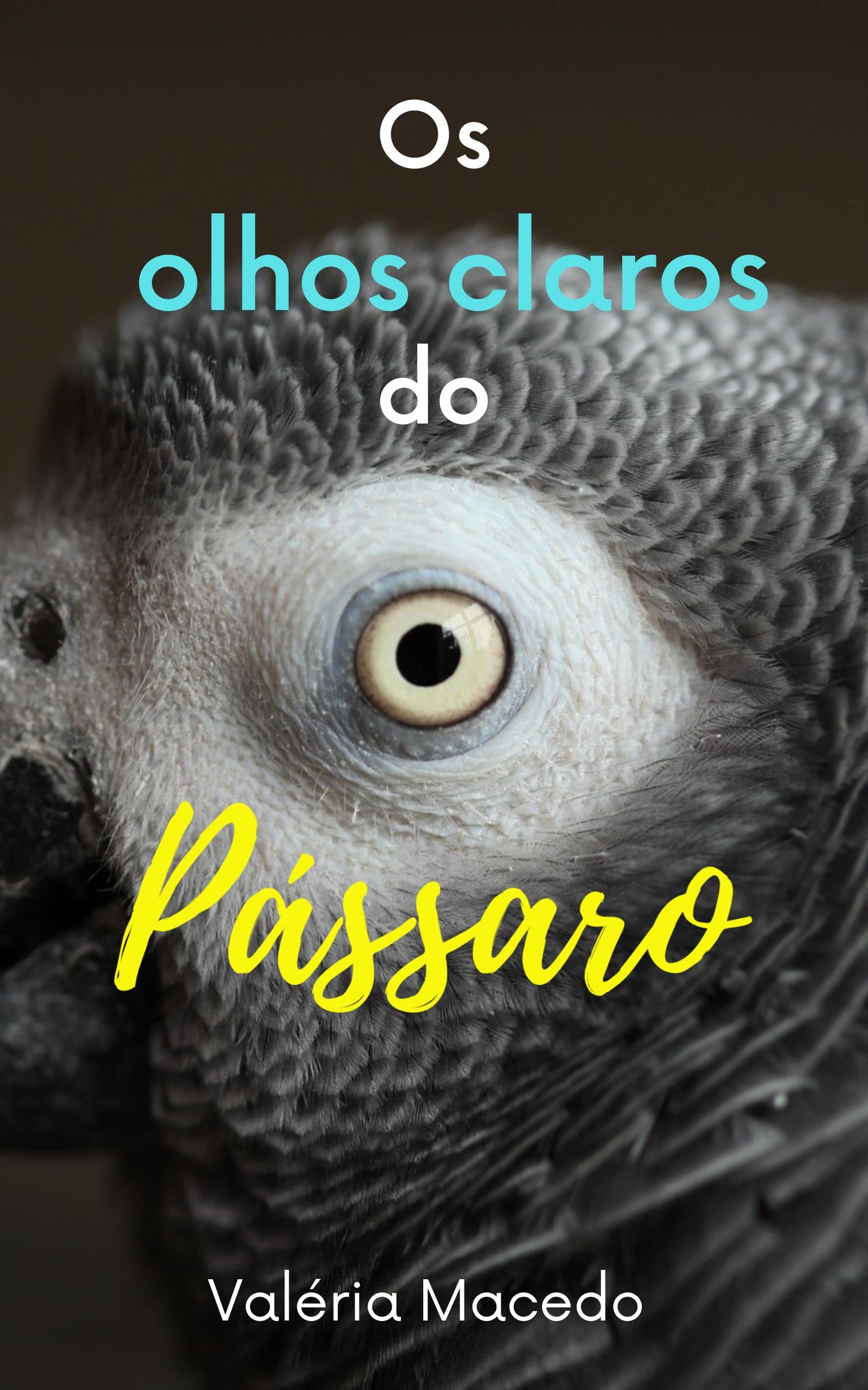 Os olhos claros do pássaro