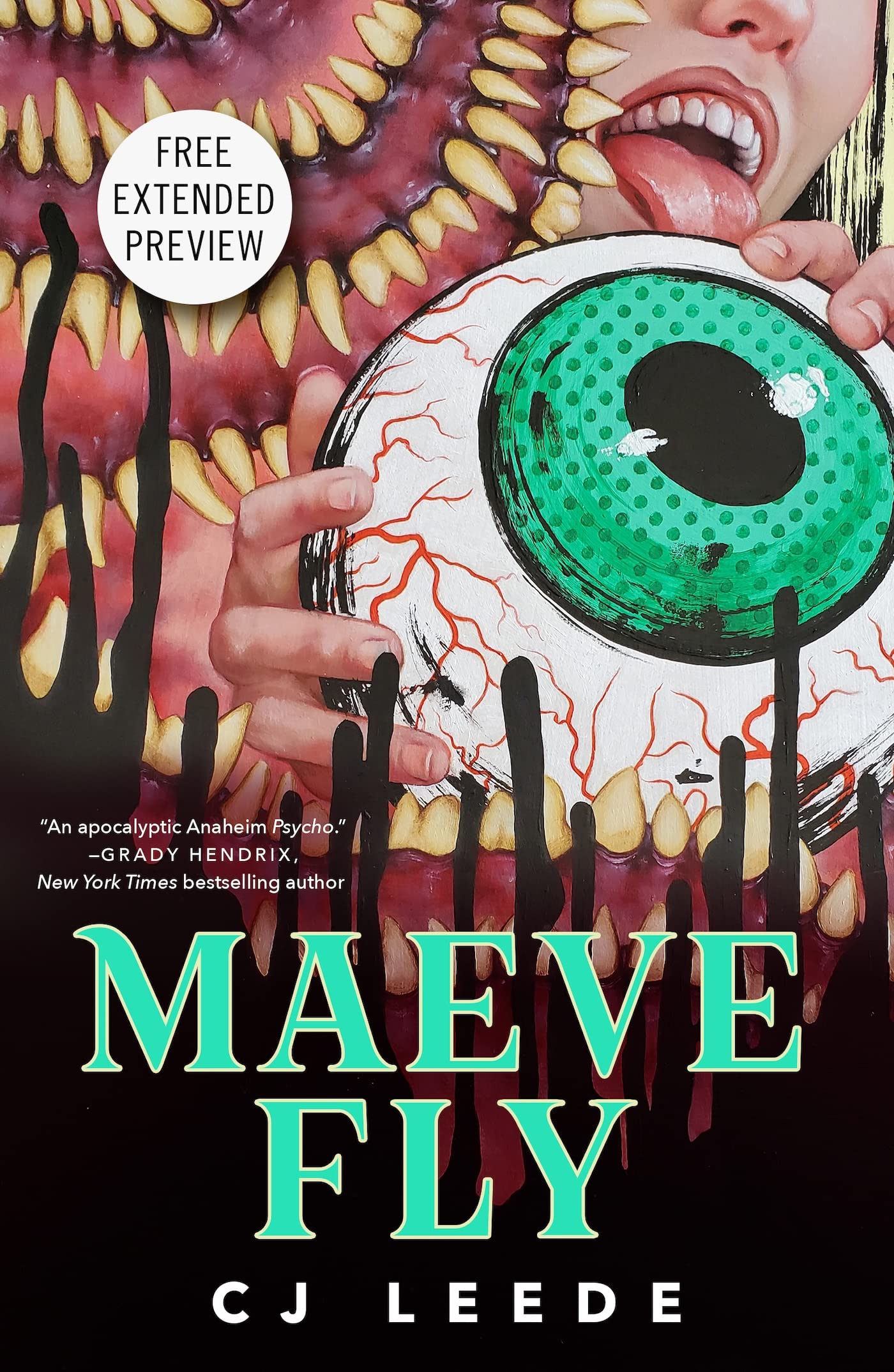 Sneak Peek for Maeve Fly book cover