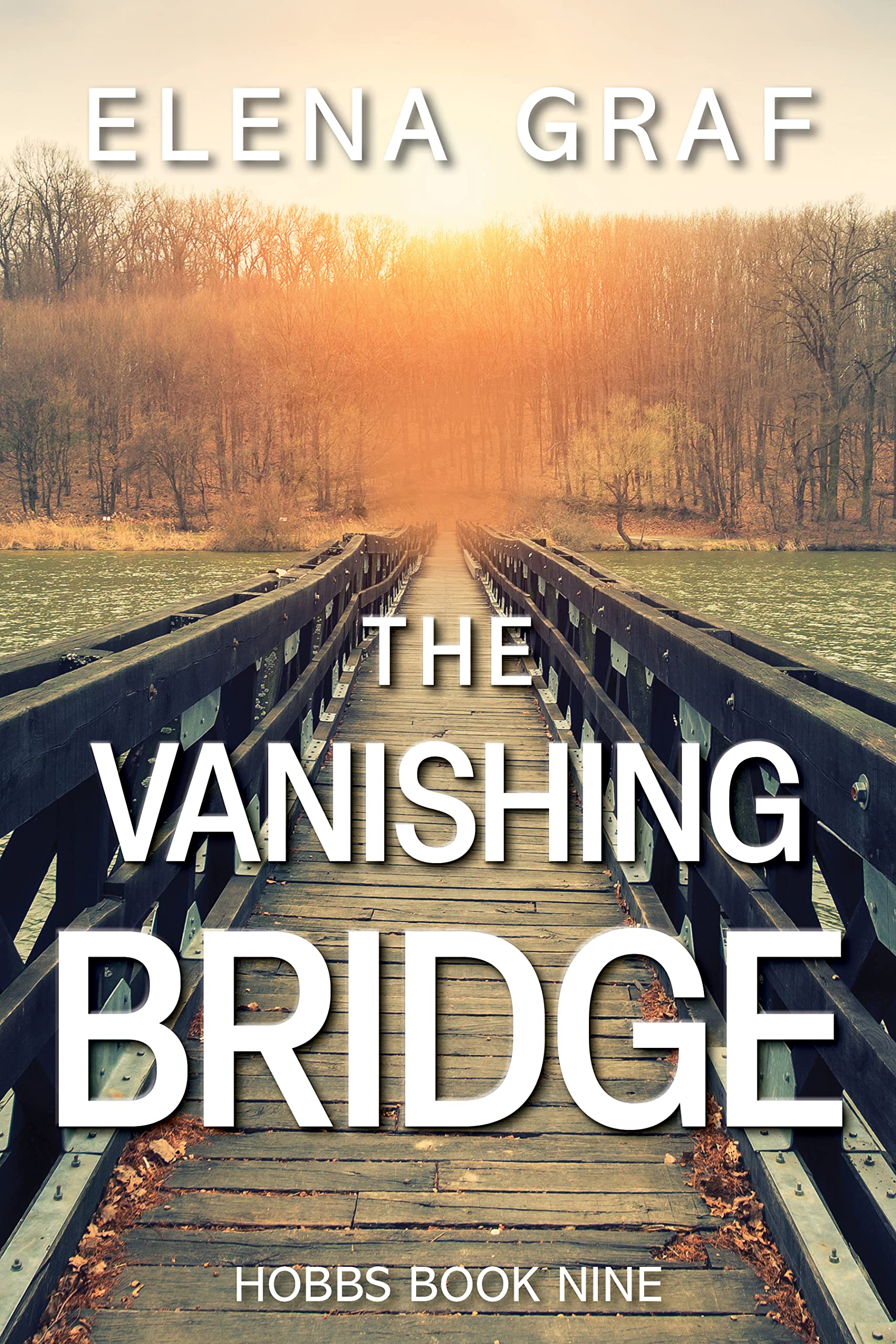 The Vanishing Bridge (Hobbs Book 9) by Elena Graf Goodreads