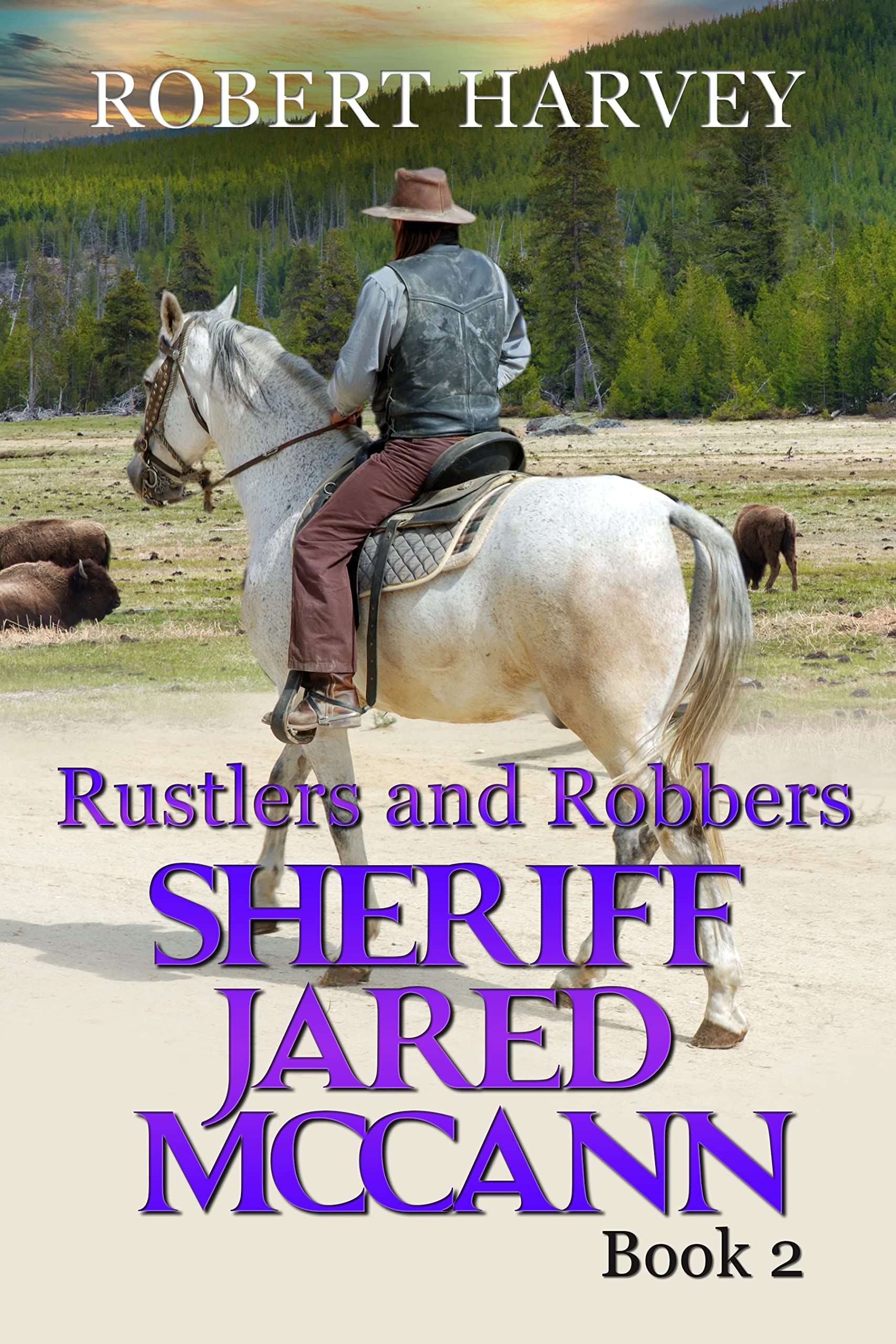 Rustlers and Robbers: Sheriff Jared McCann Book 2
