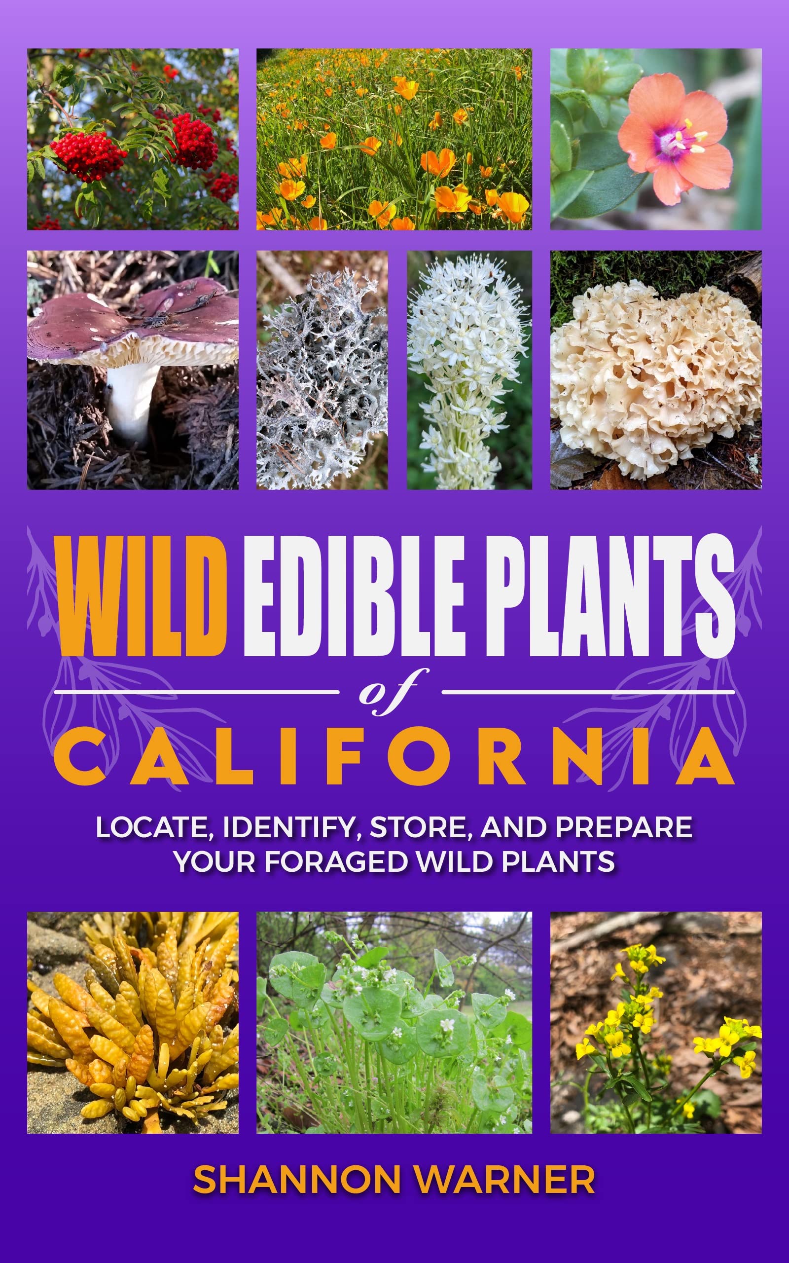 Wild Edible Plants of California Locate, Identify, Store and Prepare