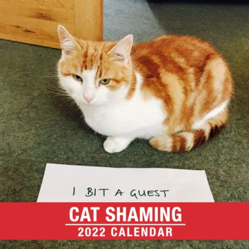 Funny Cat Shaming Calendar 2022 A Great Item For Anyone Lover Cat