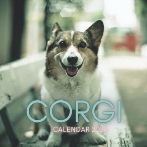 CALENDAR 2023 Lover Calendar 2023 Gag Gift for Women, Men, Kids, Friends