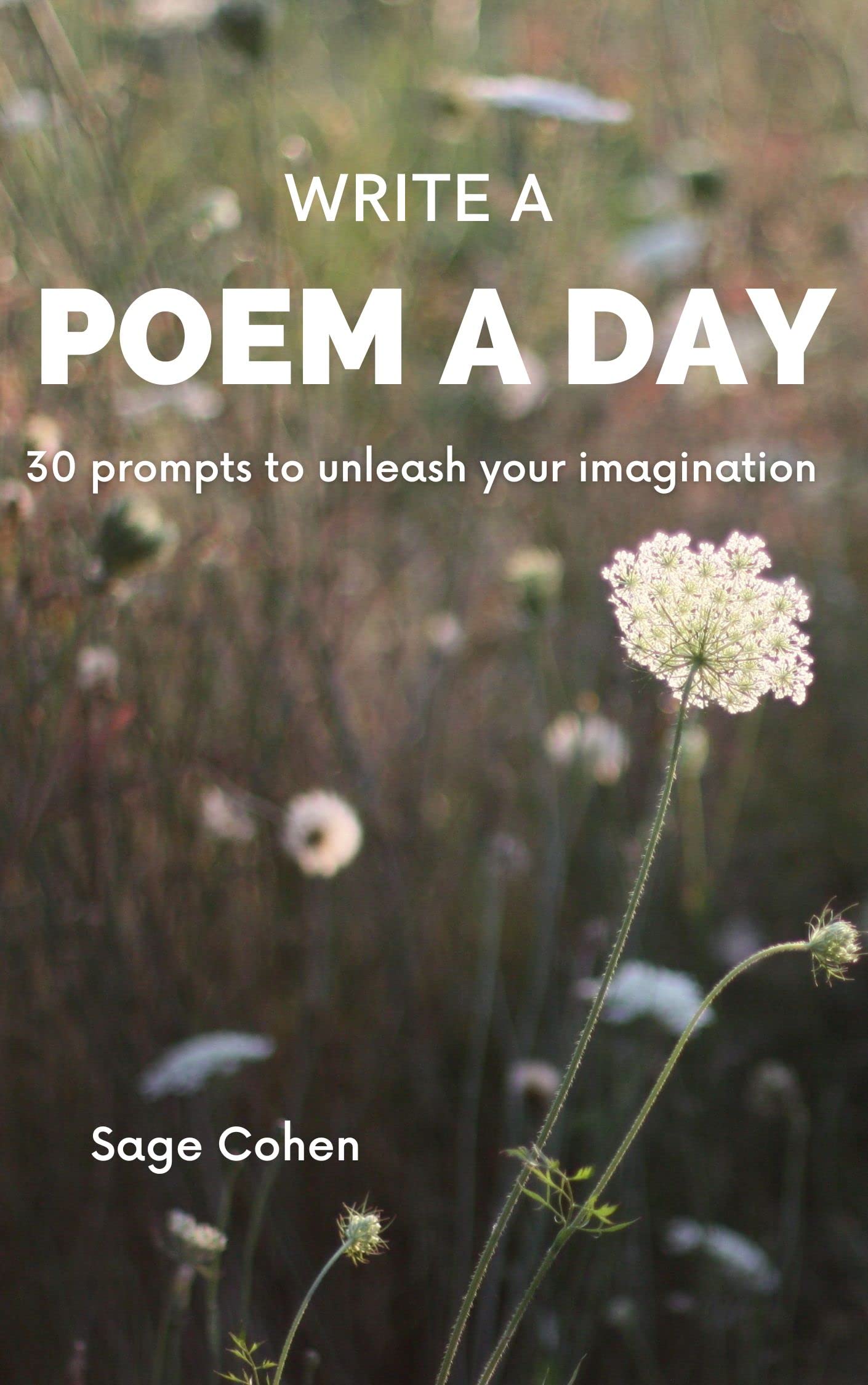 Write a Poem a Day 30 prompts to unleash your imagination by Sage